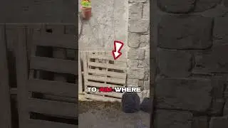 DENY The Plant With THIS Molotov!