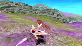 toram online gaming