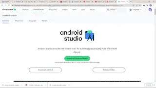 Error : Android Studio Could Not Parse The Android Application Module's Gradle Config