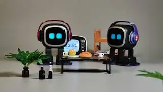 #emopet  flips a coin