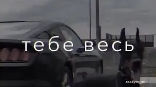 13 ноября 2020 г.