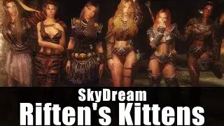 Skyrim Mods - SkyDream Riften's Kittens [4k/HD]