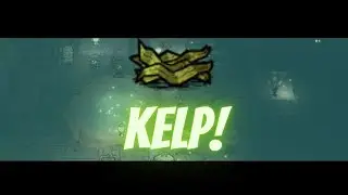 O melhor vegetal do DONT STARVE TOGETHER 