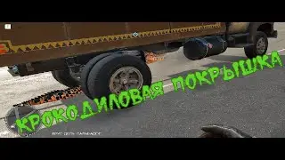 Крокодиловая Покрышка