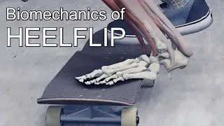 Heelflip Trouble Shooting - Land every try with science