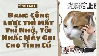 [Truyện Audio FULL] Đang Công Lược Thì Mất Trí Nhớ, Tôi Nhấc Máy Gọi Cho Tình Cũ | Yên Chi Audio