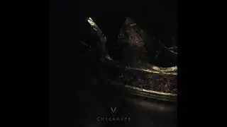 VVN - Checkmate