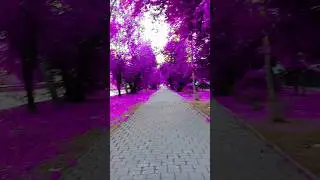 #лебедевасофия #софиялебедева #sofialebedeva