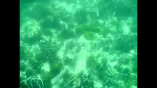 Симиланы подводой