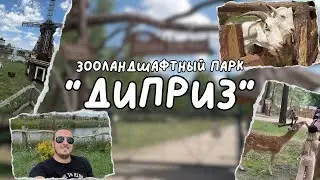 Dipriz Baranovichi: the best animal park | Where to go in Belarus