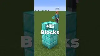 Minecraft BUILD A WORLD Challenge