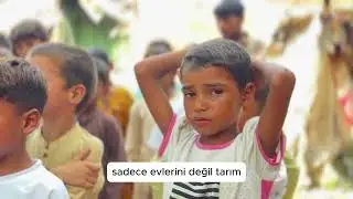 Tropikal Ülkelerde Gizlenen Gerçekler: Doğanın Güzellikleri ve Mücadeleleri 🌴🌍