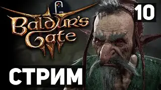 Baldur's Gate 3 - Прохождение. Сложность Тактика. Залитые солнцем болота. Секрет Гейла