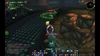 Feral and Frost Mage 2x2