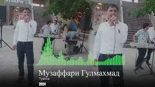 Музафари Гулмахмад 