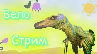 Вело стрим начало в 12:00 по МСК