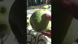 Думаю я себя не обделил 👍