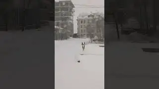 Снег пошел