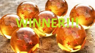 Dragon Ball Giveaway ANNOUNCING THE WINNER!!!