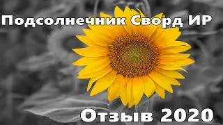 Подсолнечник Сворд, отзыв