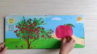 Review sách LIFE-CYCLE BOARD BOOKS - TREES