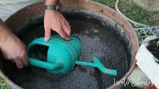 Come concimo il mio orto biologico