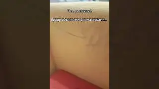 💪Реанимация дивана