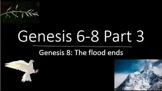 Genesis 8: The Flood Ends