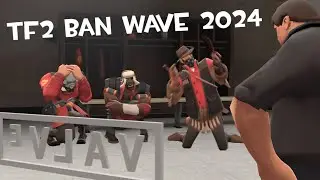 tf2 ban wave 2024