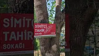 6 Temmuz 2023