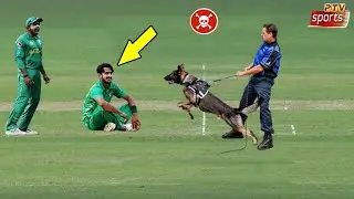 Top 10 Most Rare Moments In Cricket History Of All Times | Asad Sports
