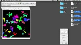 Microglia Morphometry Fiji: Microglia Morphometry