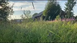 ДОМИК В ДЕРЕВНЕ