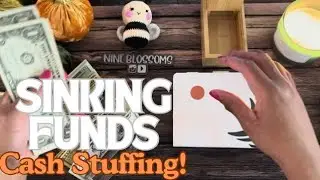 Allocating Cash to Sinking Funds from Completed Challenges | Cash Stuffing Update!