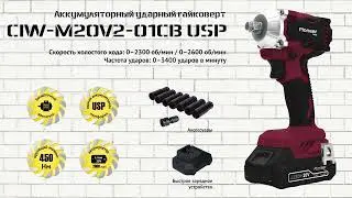 Аккумуляторный гайковерт Pioneer CIW-M20V2-01CB USP