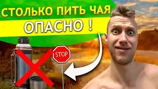 Чай может навредить организму ? Сколько можно пить чая в день ? Вредно пить черный чай перед сном ?