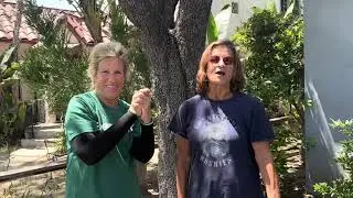 Welcome to the 110.86 Mile Challenge Benefiting Walk with a Doc