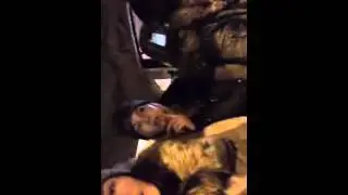anny lutaya   Убойные жопы едут на район