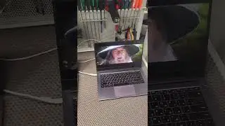 Гендальф_Sax