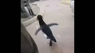 Сегодня будет туса🍾
