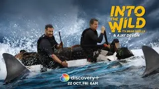 Ajay Devgn Goes 'Into The Wild With Bear Grylls' | discovery+ | Watch now