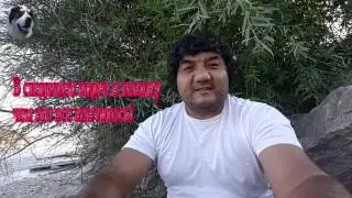 Как наказывать волкодава.