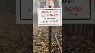 Мир сходит с ума и мы вместе с ним? #абсурд #логика