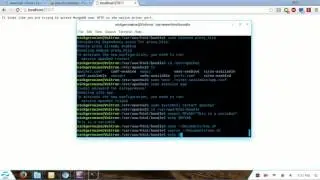 (64) Using a shell script to set our environment variables