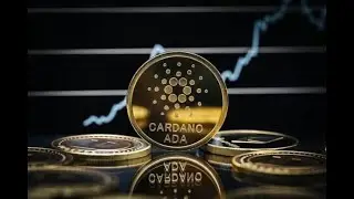ADAUSD TRADE RECAP