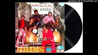 THE BRIMS - i beg you to stay (1972)