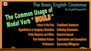 The Usage of Modal Verb "WOULD" with Example Sentences