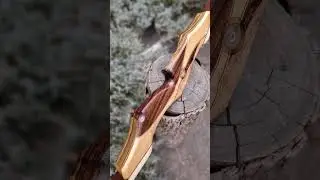 Разборный лук с плечами типа Rd Longbow 😉