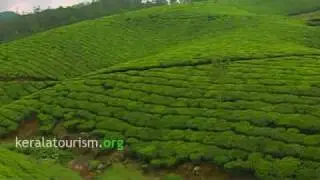 Munnar Hills