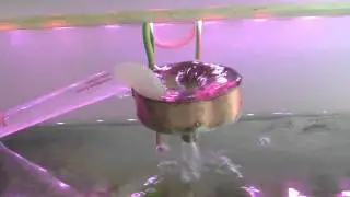 Schauberger Aquarientrichter